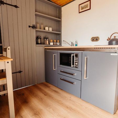 Shepherd's hut near Aberdyfi Machynlleth Exterior foto