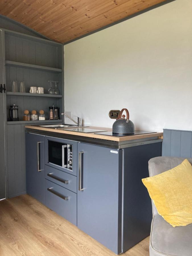 Shepherd's hut near Aberdyfi Machynlleth Exterior foto
