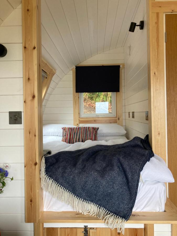Shepherd's hut near Aberdyfi Machynlleth Exterior foto