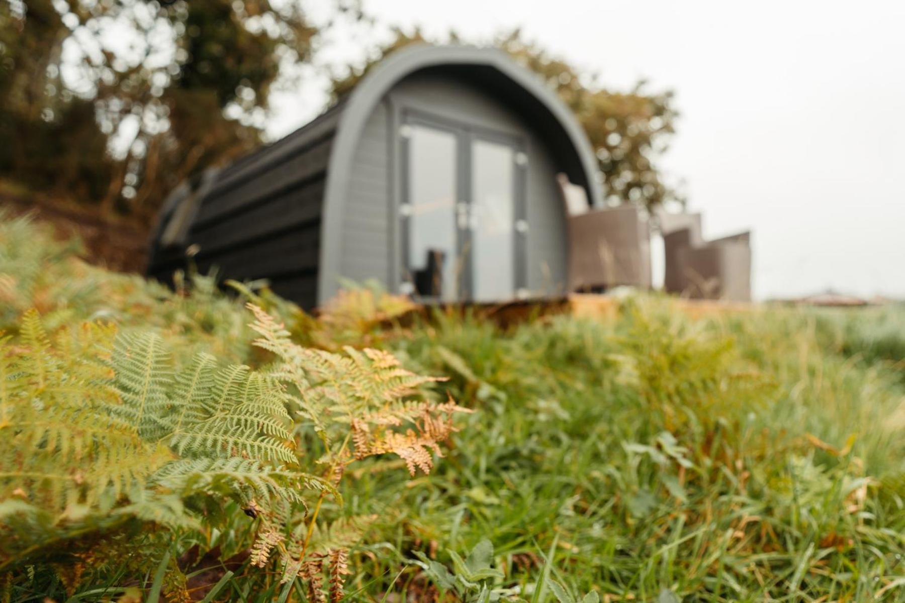 Shepherd's hut near Aberdyfi Machynlleth Exterior foto